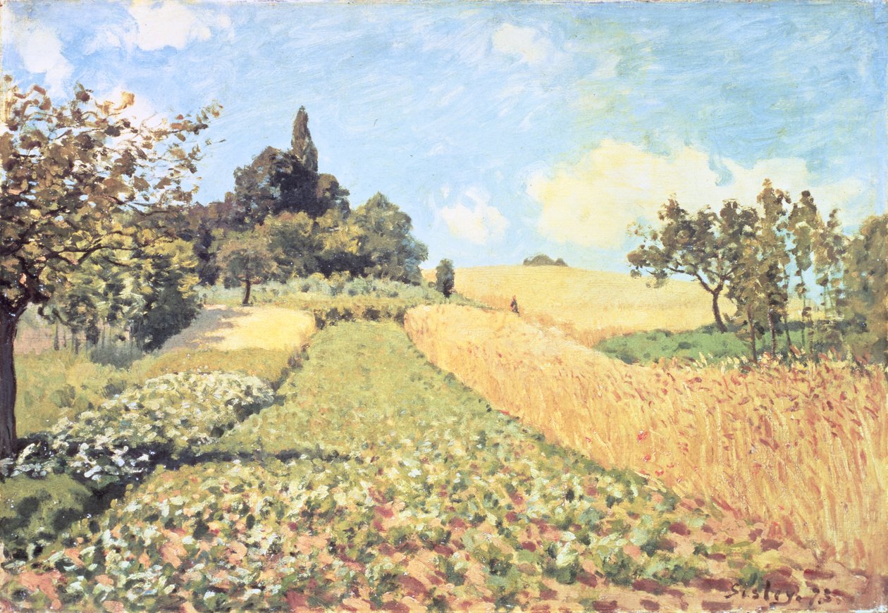 Búzamező (olaj, vászon) alkotó: Alfred Sisley