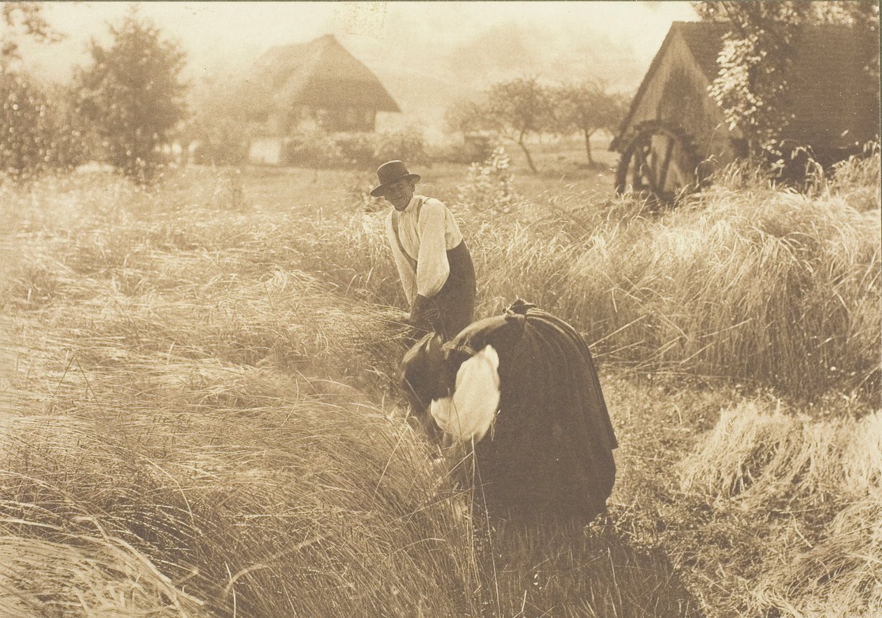 Kora reggel, 1894. alkotó: Alfred Stieglitz