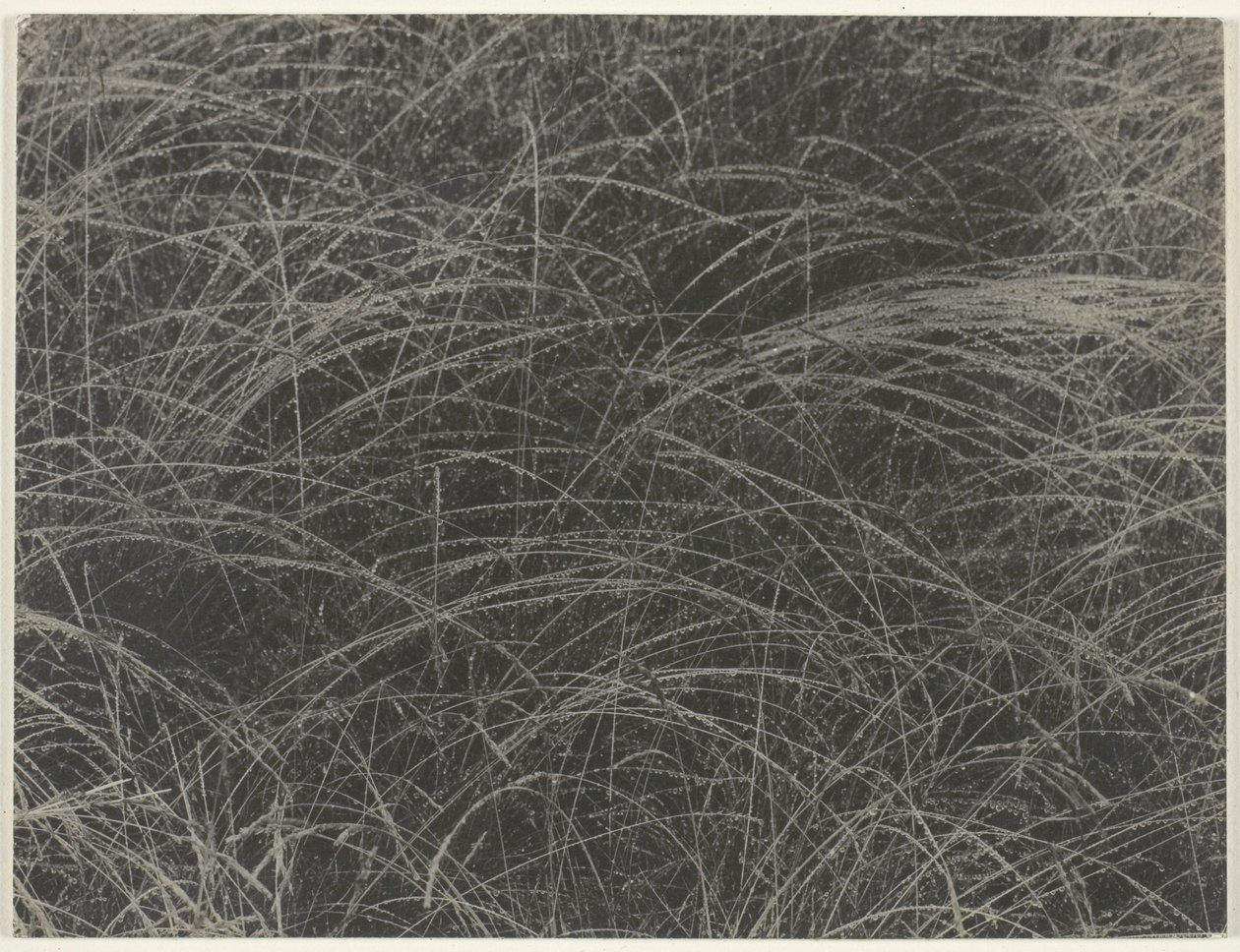 Egyenértékű alkotó: Alfred Stieglitz