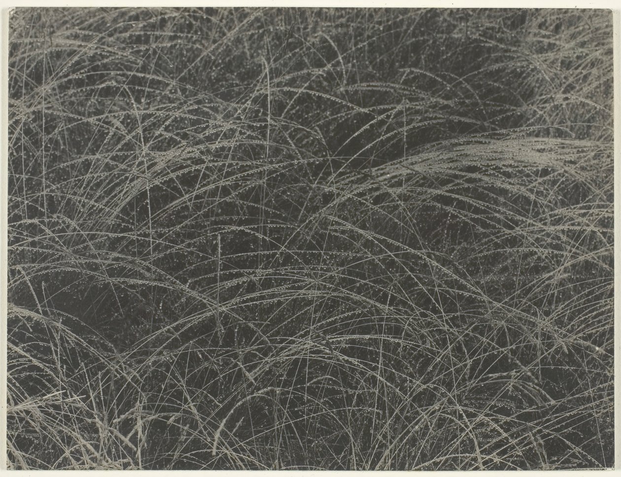 Egyenértékű, 1927. alkotó: Alfred Stieglitz
