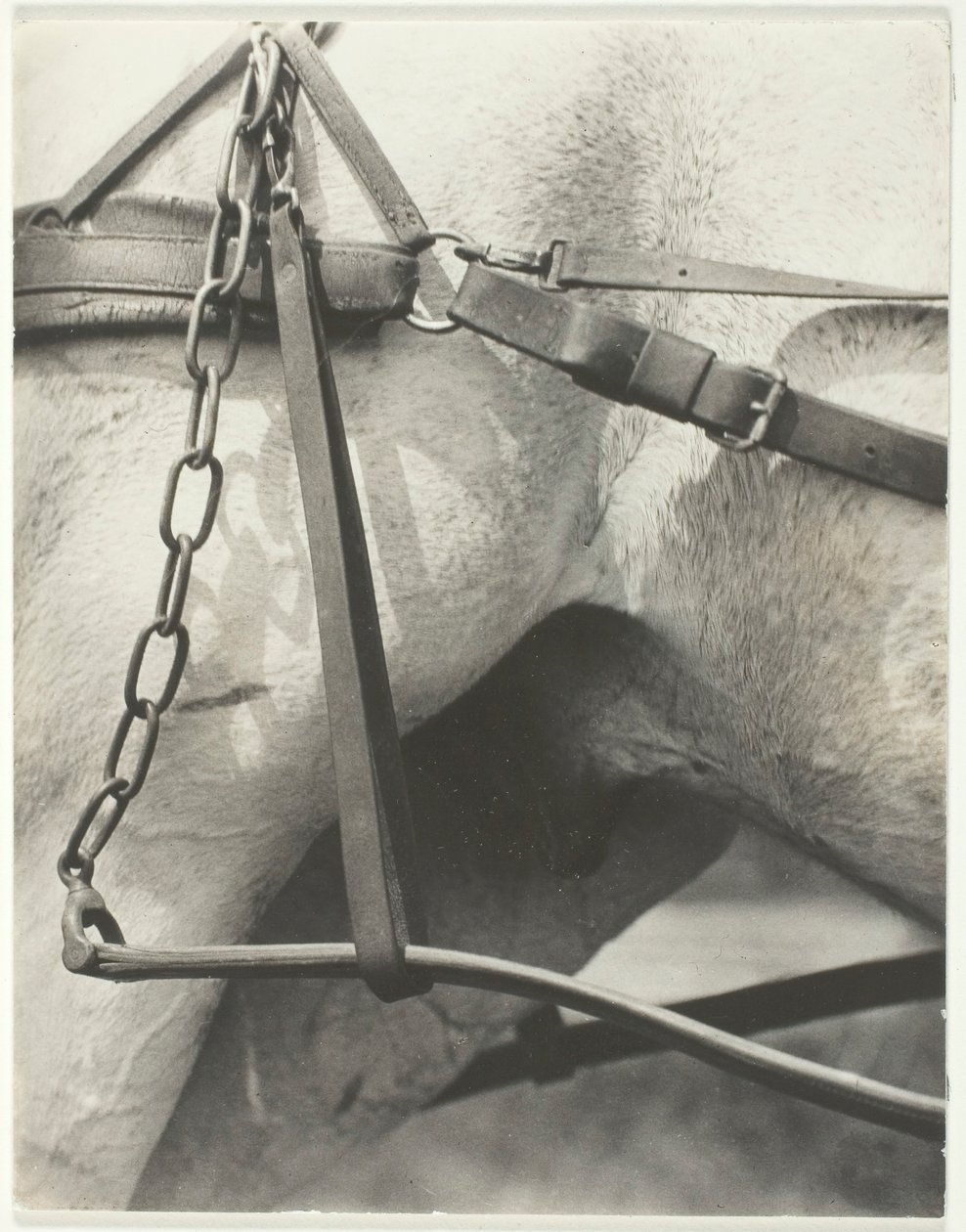 Egyenértékű, Spirituális Amerika, 1923. alkotó: Alfred Stieglitz