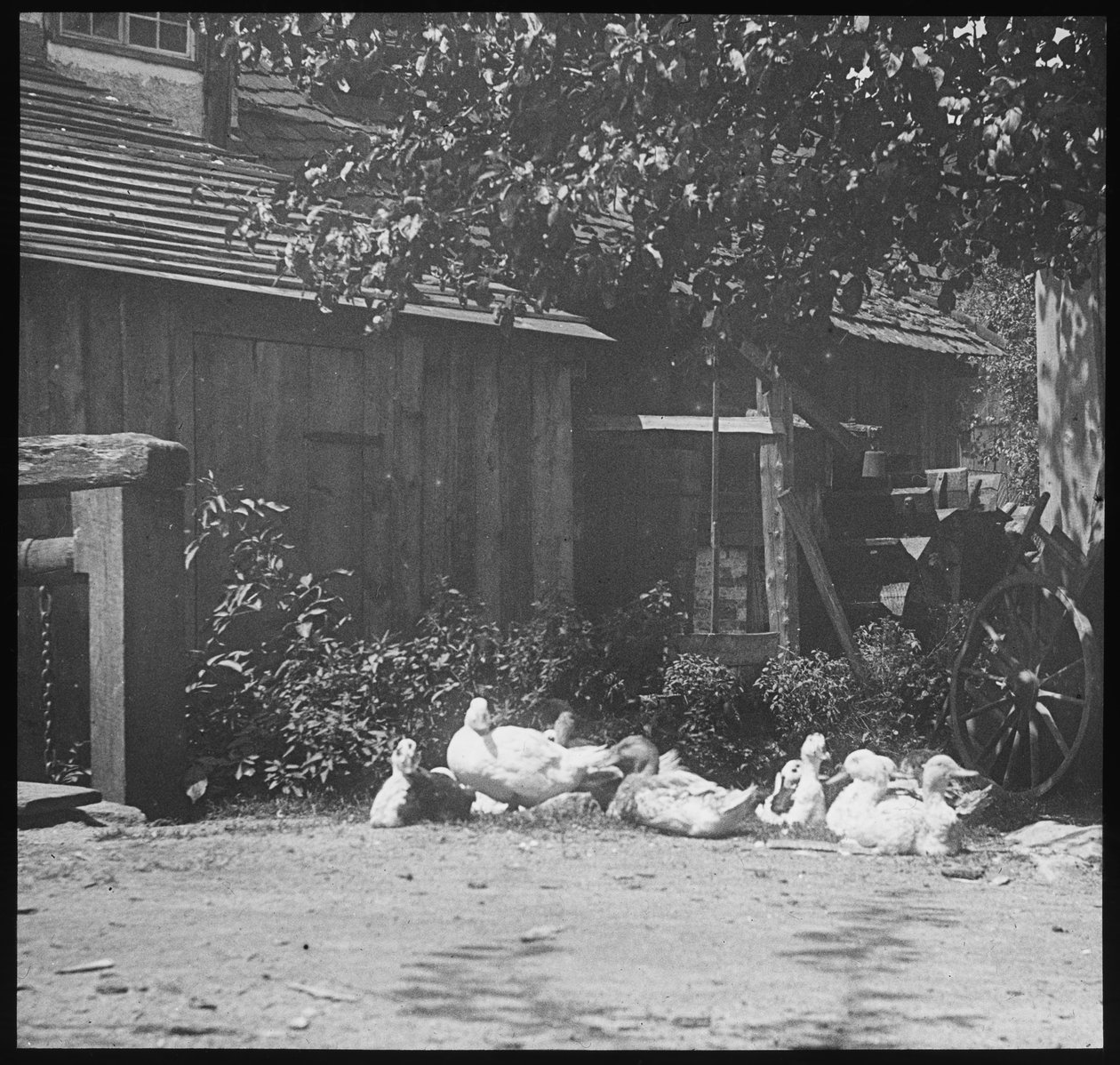 értékelés alkotó: Alfred Stieglitz