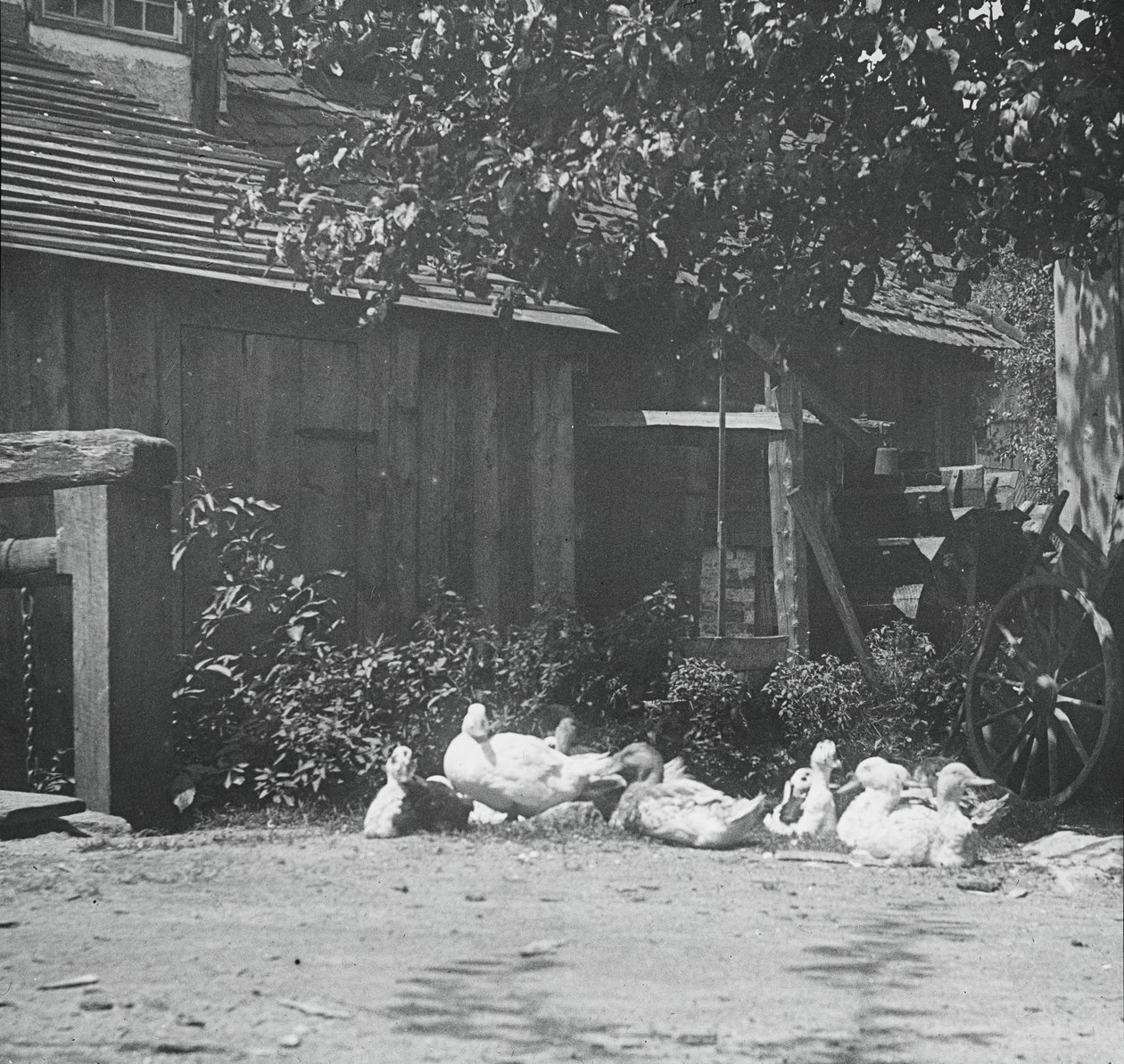 Gutach, 1894. alkotó: Alfred Stieglitz