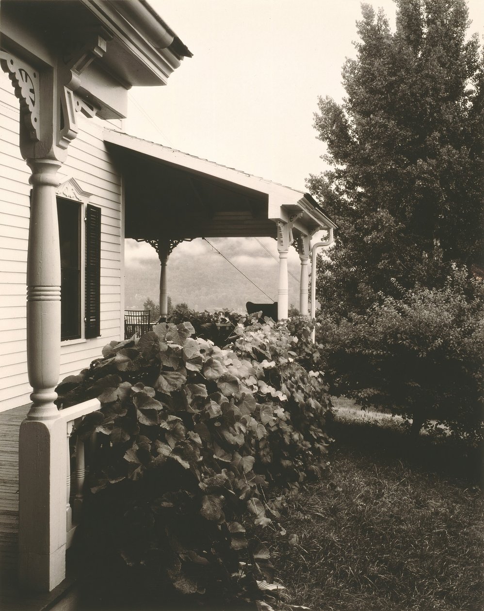 Ház és szőlőlevelek, 1934. alkotó: Alfred Stieglitz