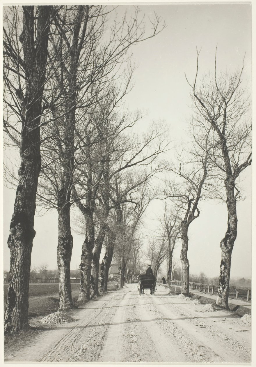 Novemberi napok, 1887, nyomtatva 192039. alkotó: Alfred Stieglitz