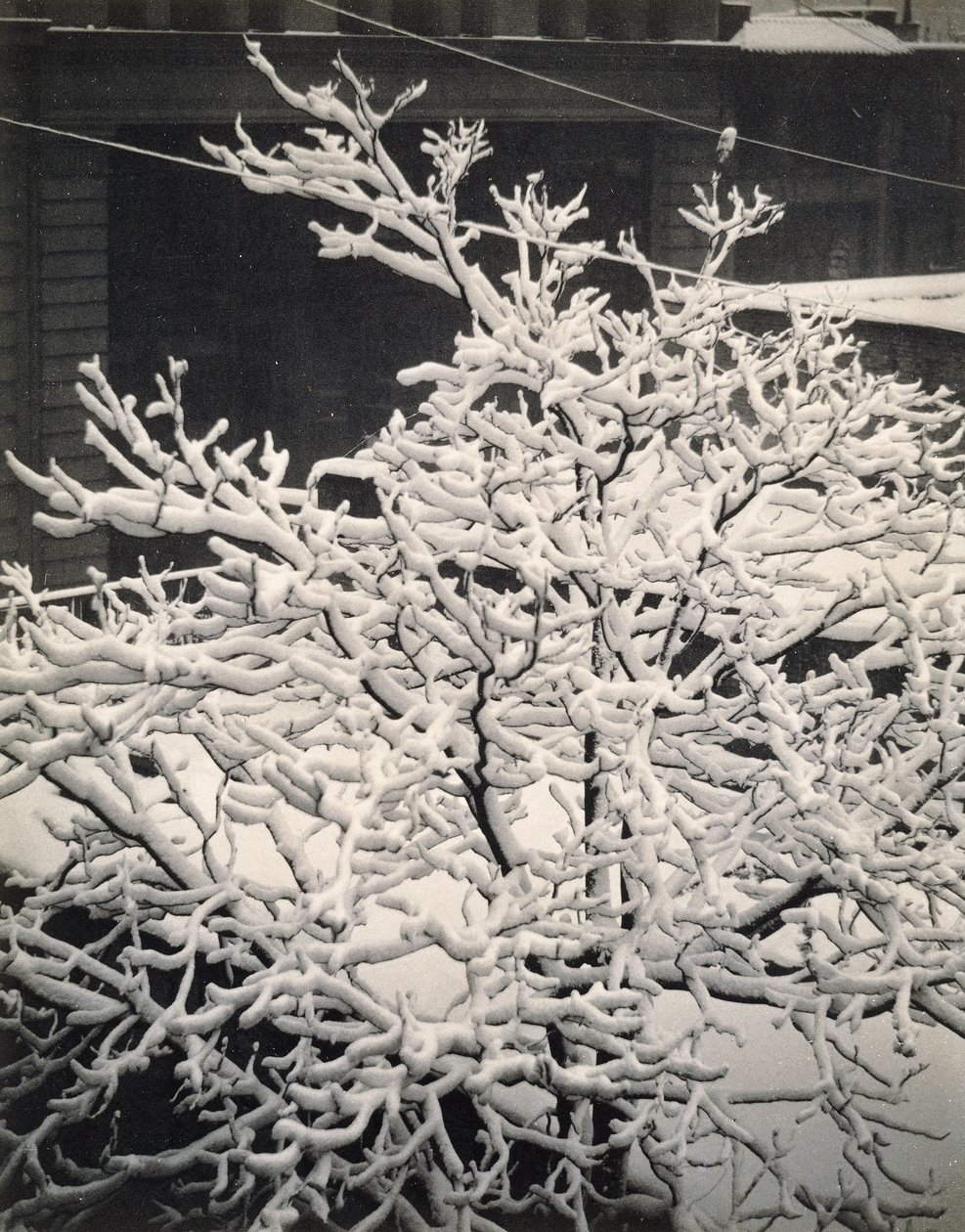 Ablakon kívül - 291 - N.Y. alkotó: Alfred Stieglitz