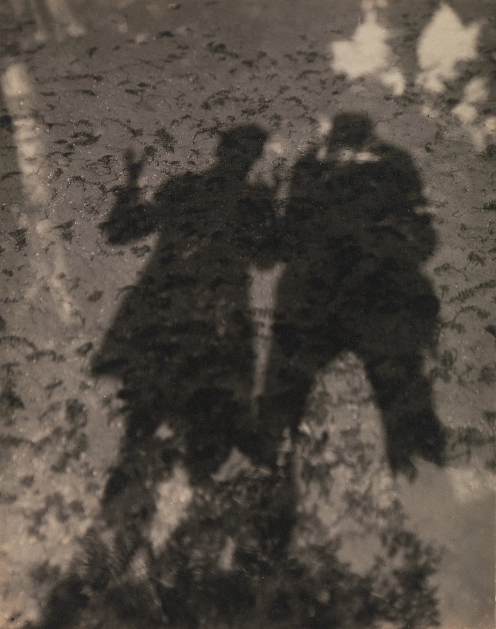 Árnyak a tóban alkotó: Alfred Stieglitz