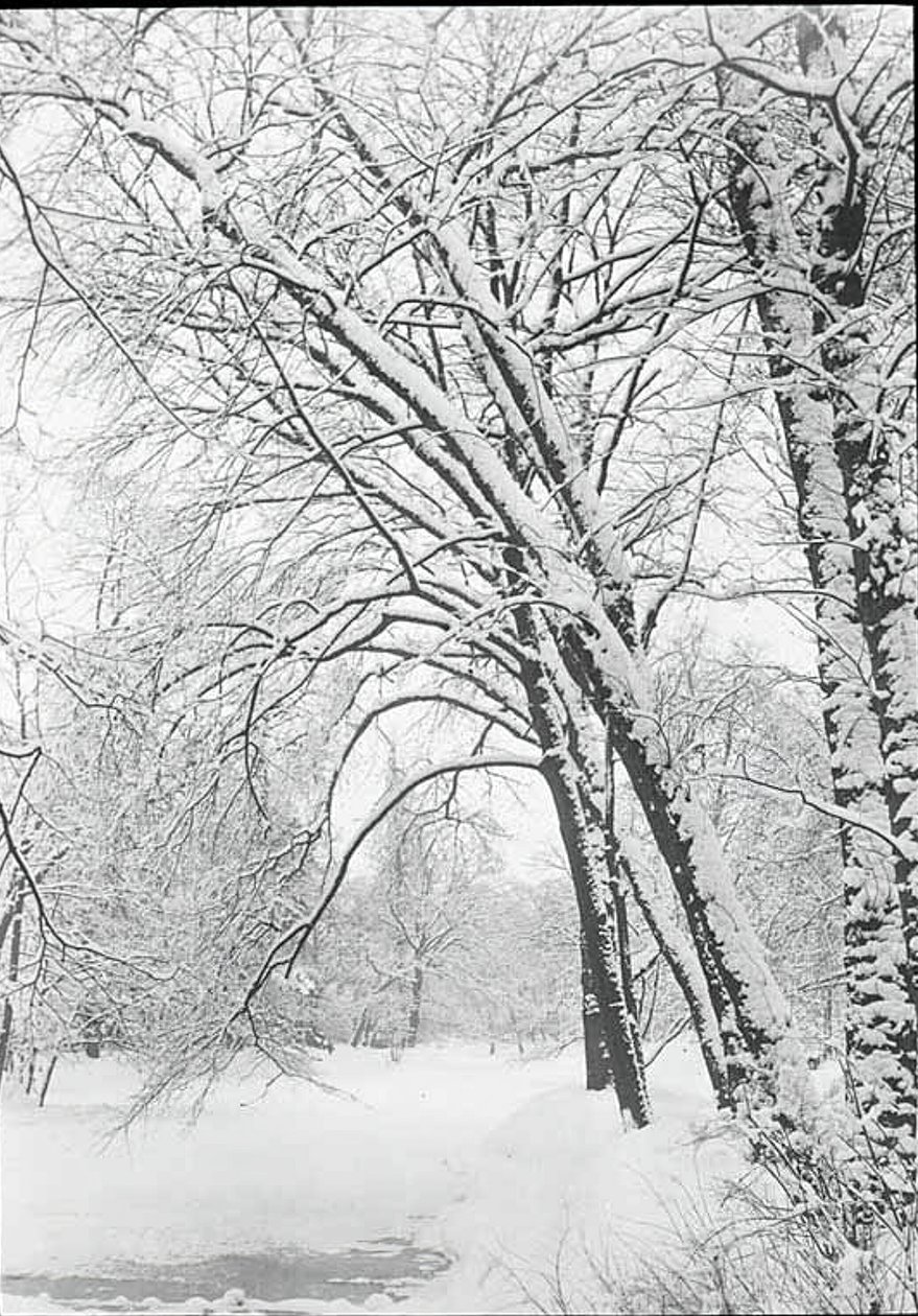 Snowscape, Berlin, 188892. alkotó: Alfred Stieglitz