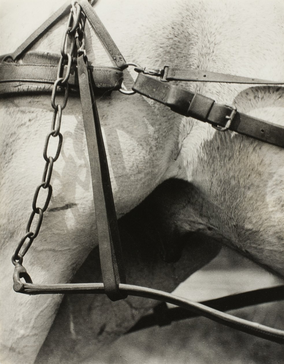 Spirituális Amerika: Az ég dalai A1 alkotó: Alfred Stieglitz