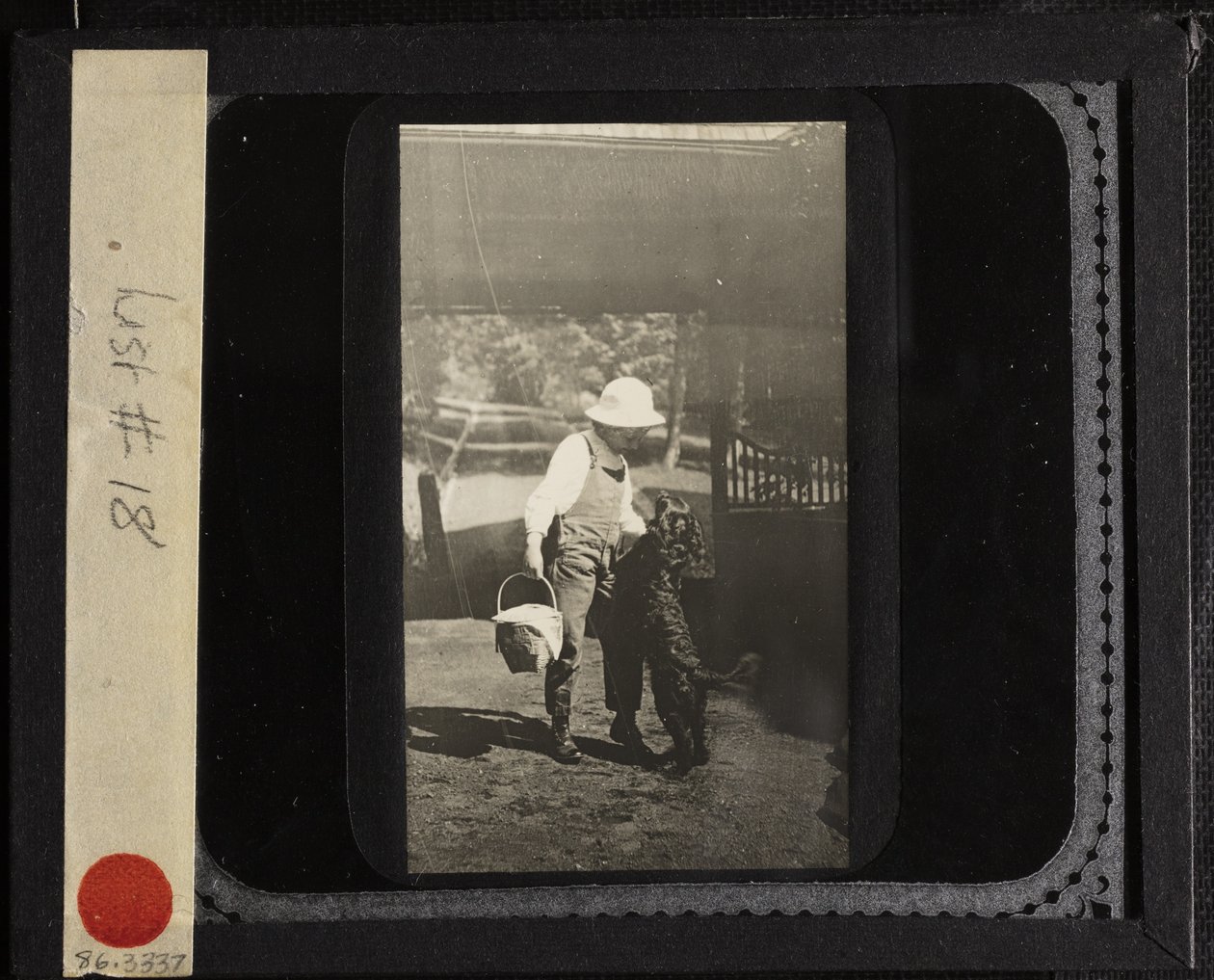 Cím nélkül (Elizabeth unokahúga "Inky"-vel Oaklawnban) alkotó: Alfred Stieglitz