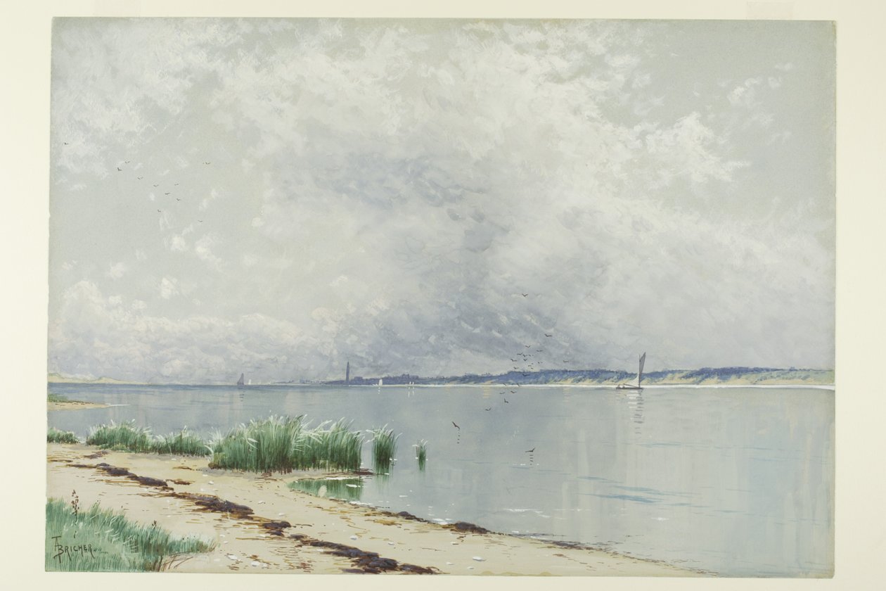 Reflected Reeds alkotó: Alfred Thompson Bricher