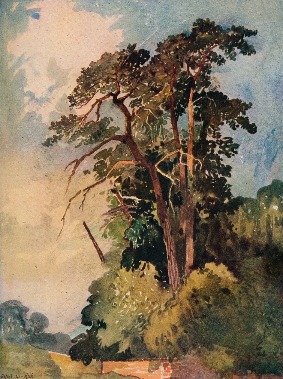 Study of Trees, c1880 alkotó: Alfred William Rich