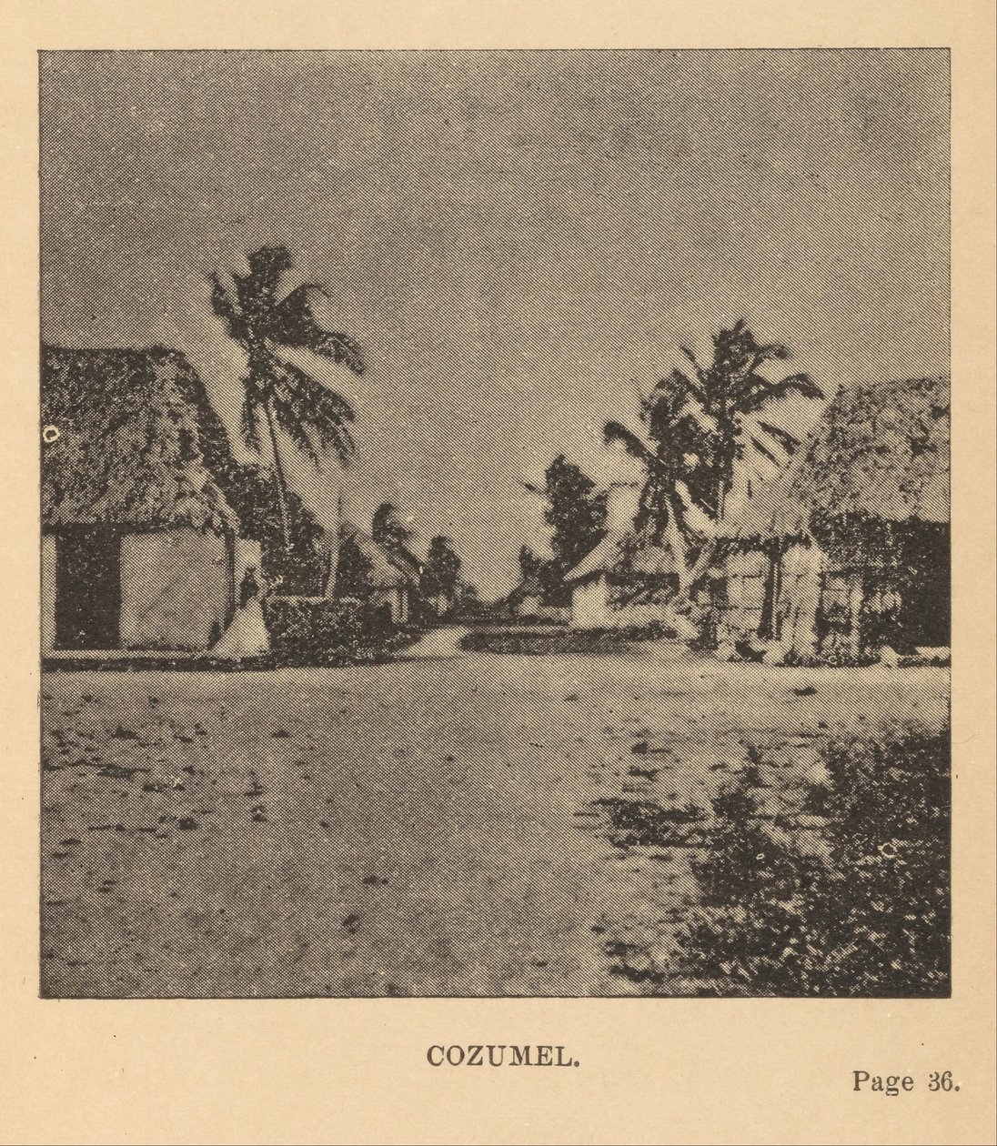 Cozumel alkotó: Alice D. Le Plongeon