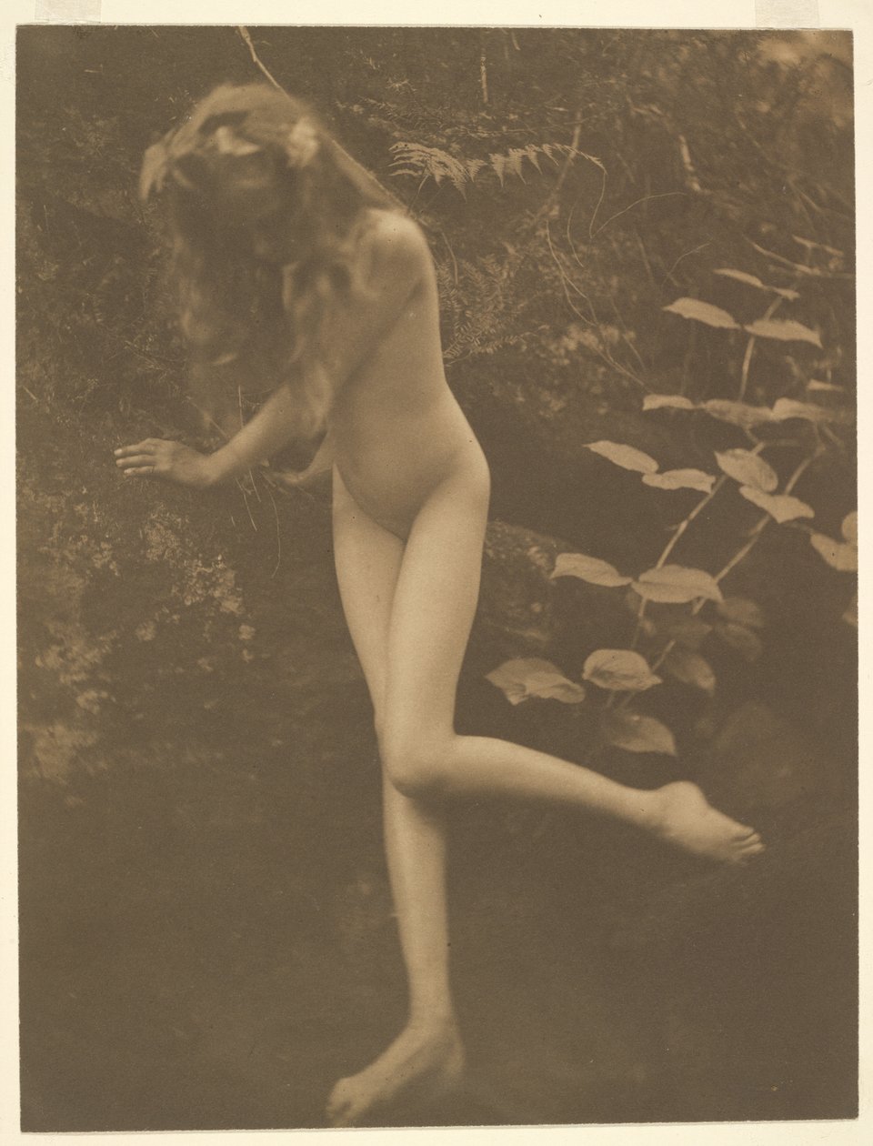 [Meztelen lány] alkotó: Alice Boughton