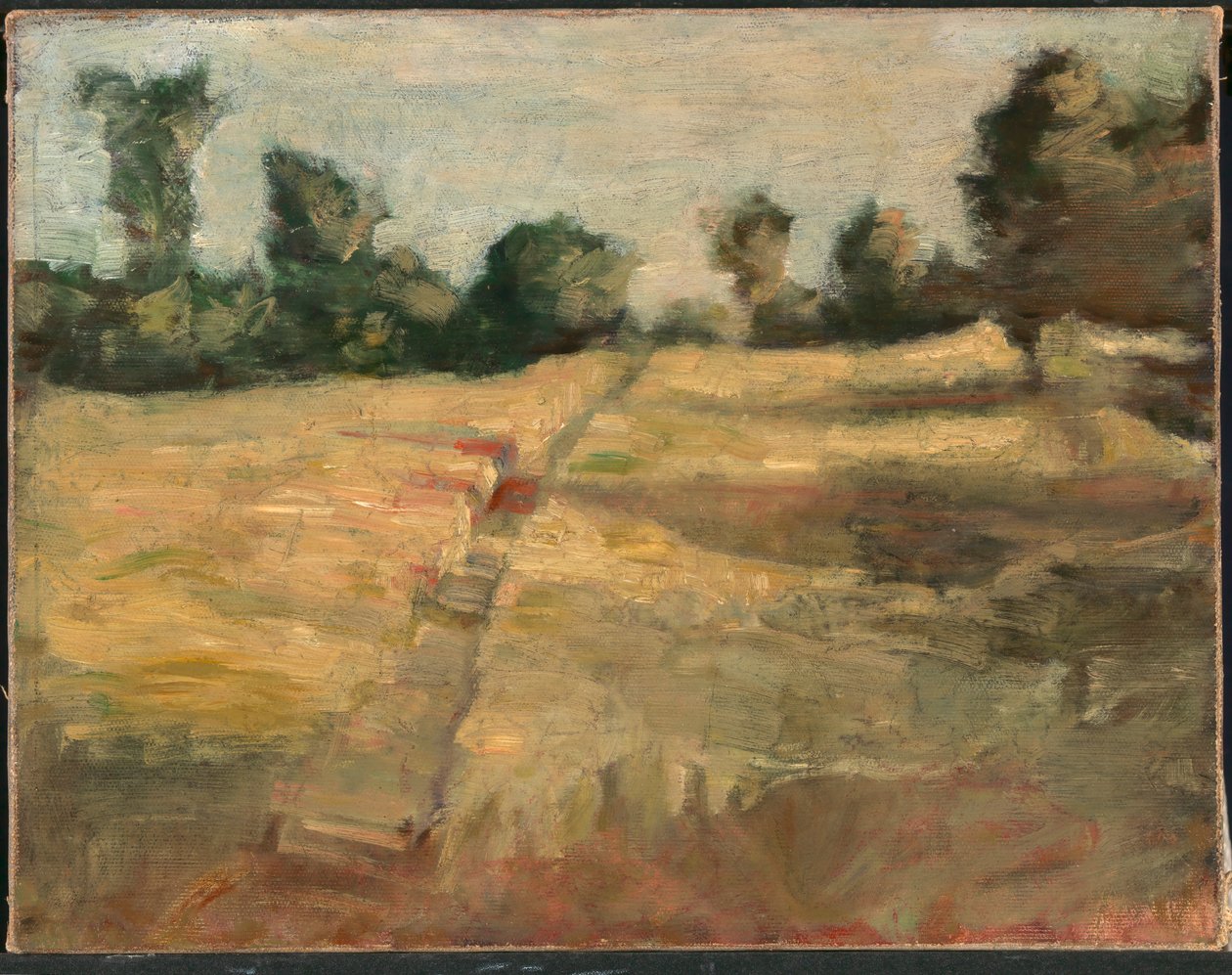 A mező, kb. 1892. alkotó: Alice Pike Barney