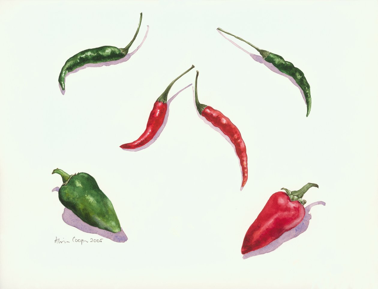 Chili és paprika, 2005 alkotó: Alison Cooper