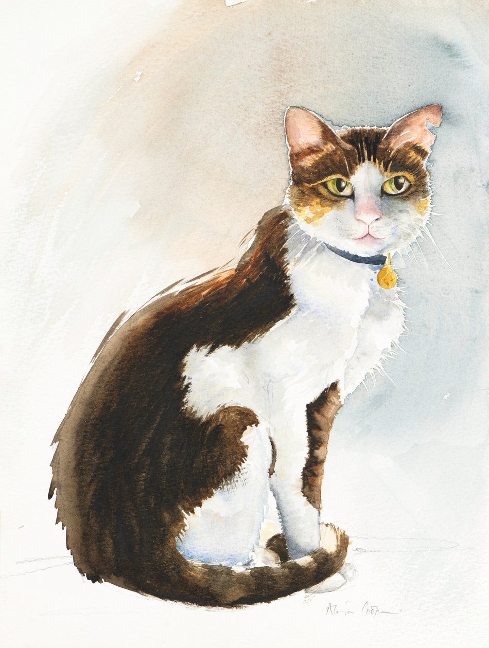 Dave, a szaúdi macska, 2019 (akvarell) alkotó: Alison Cooper