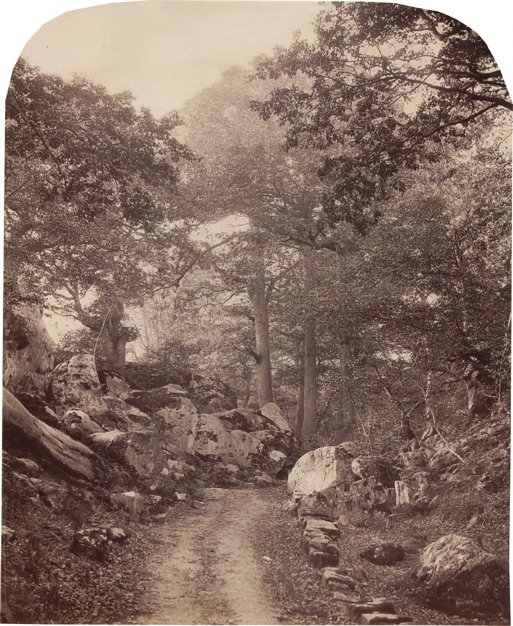 Fontainebleau alkotó: Alphonse Jeanrenaud