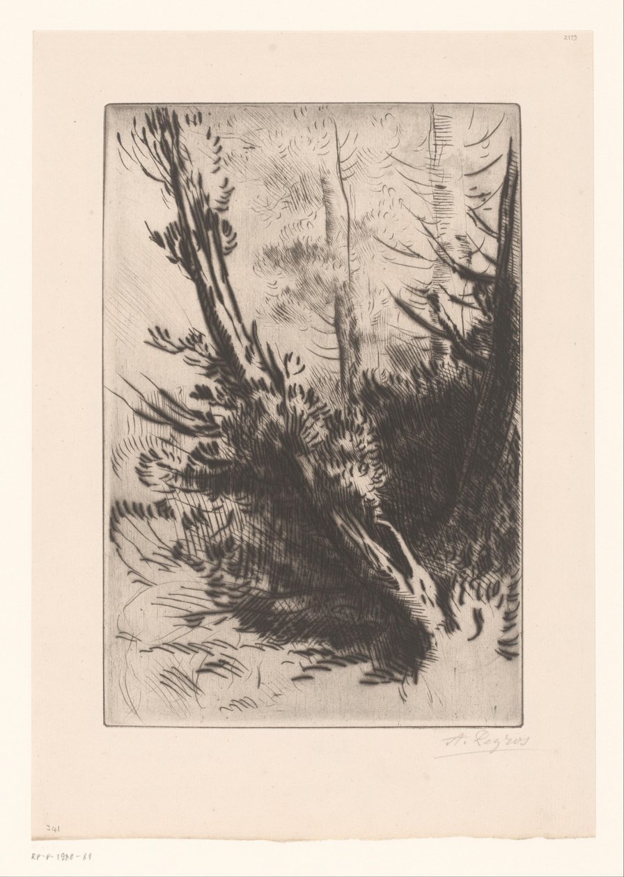 fák alkotó: Alphonse Legros (signed by artist)