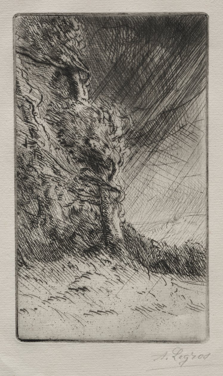 Egy széllökés. alkotó: Alphonse Legros