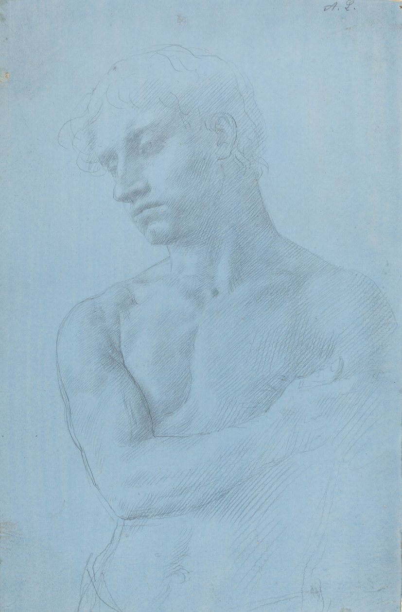 Meztelen férfi mellszobra. alkotó: Alphonse Legros
