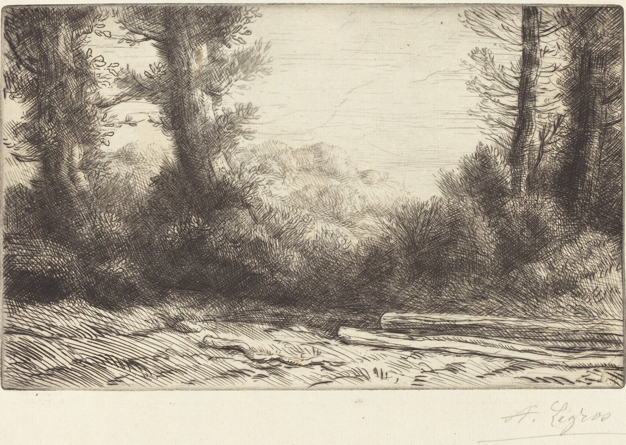 Egy fa Lisiere de bois széle. alkotó: Alphonse Legros