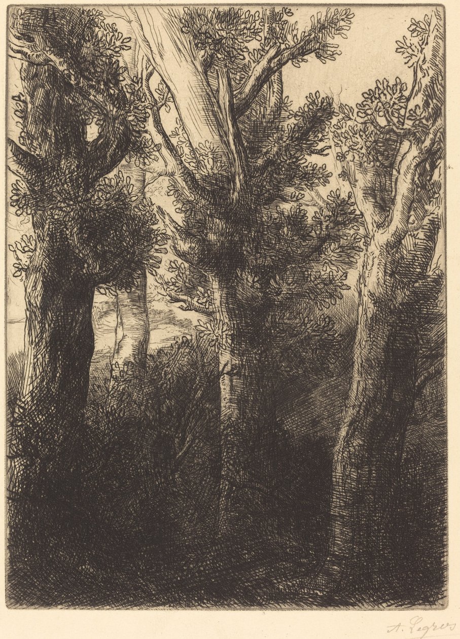 Német Erdő, Downley. alkotó: Alphonse Legros