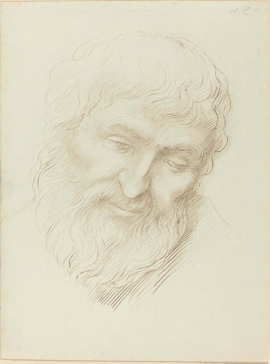 Egy ember feje. alkotó: Alphonse Legros