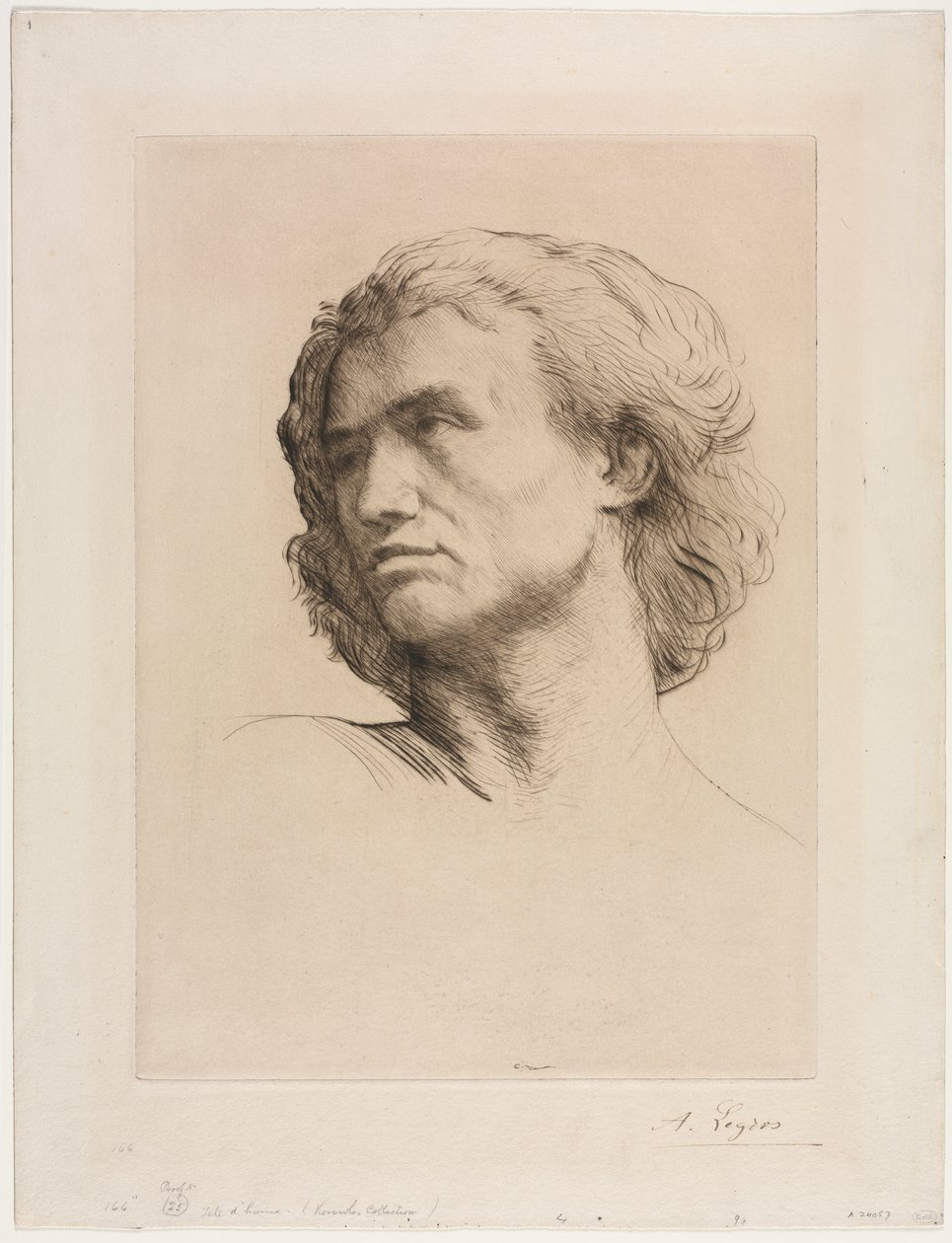 Egy ember feje alkotó: Alphonse Legros