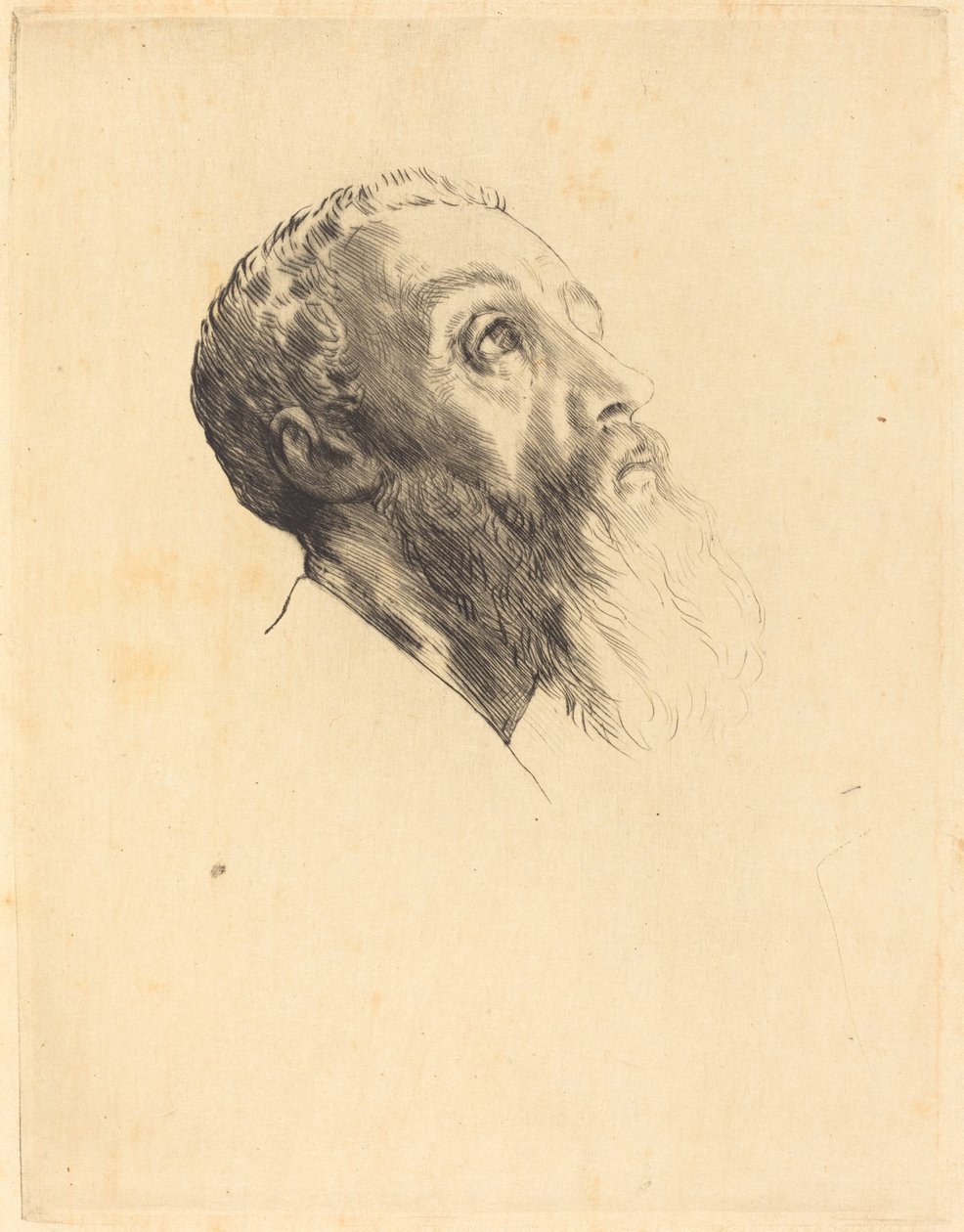 Modell vezetője Modellek vezetői. alkotó: Alphonse Legros