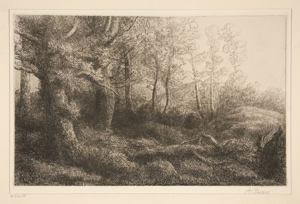 erdőszéli alkotó: Alphonse Legros
