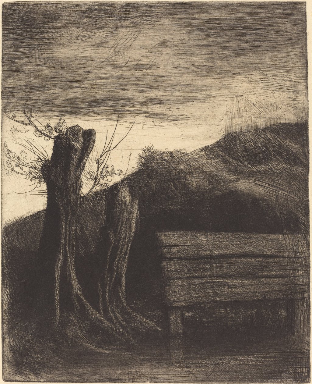 Pollard Willows (Les saules tetards) alkotó: Alphonse Legros