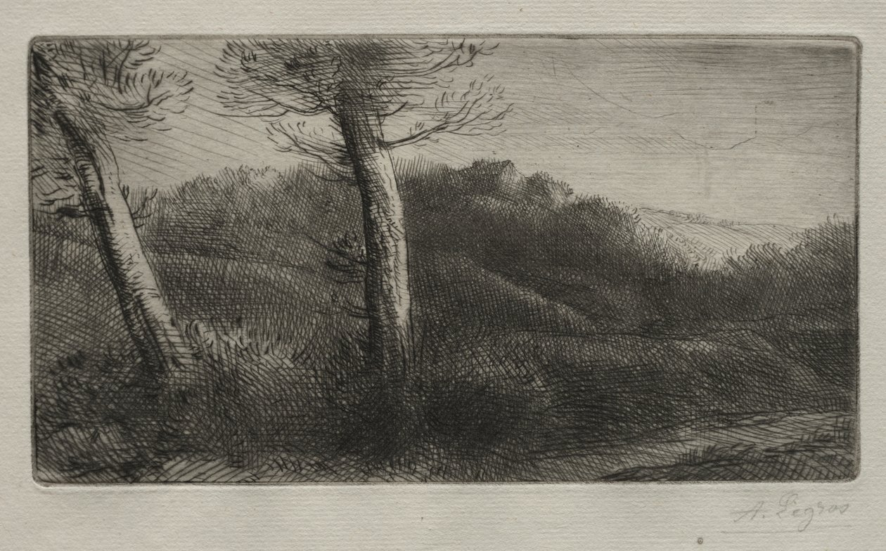 Az utazó elnyúlt a füvön alkotó: Alphonse Legros