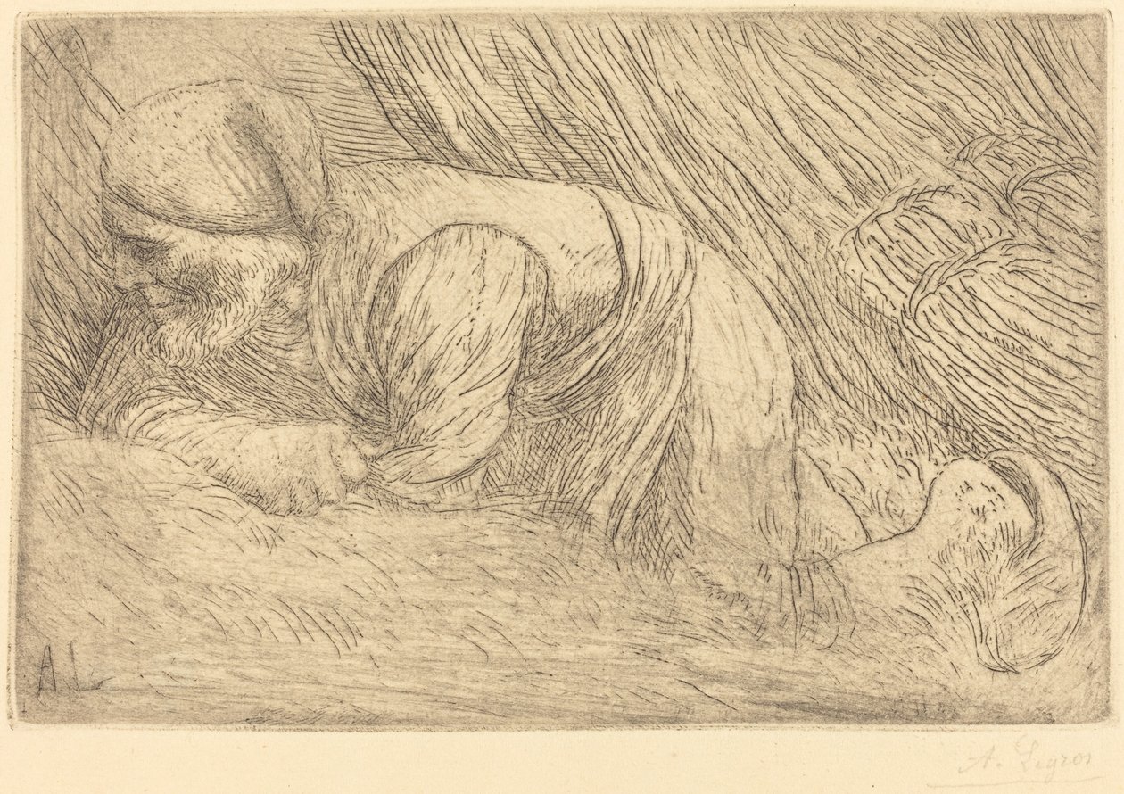 Gallygyűjtő Le fagotier. alkotó: Alphonse Legros