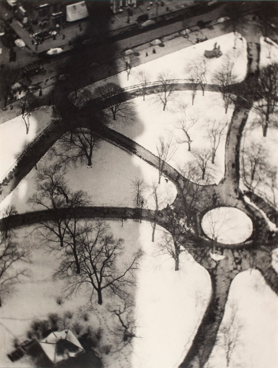 Polip, New York alkotó: Alvin Langdon Coburn