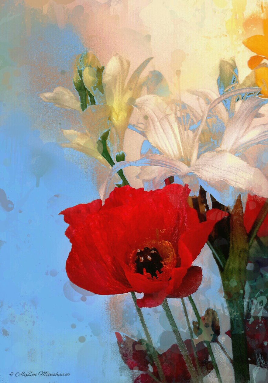 Poppy on blue, 2014, (digitális vegyes médiás fonográfia) alkotó: AlyZen Moonshadow