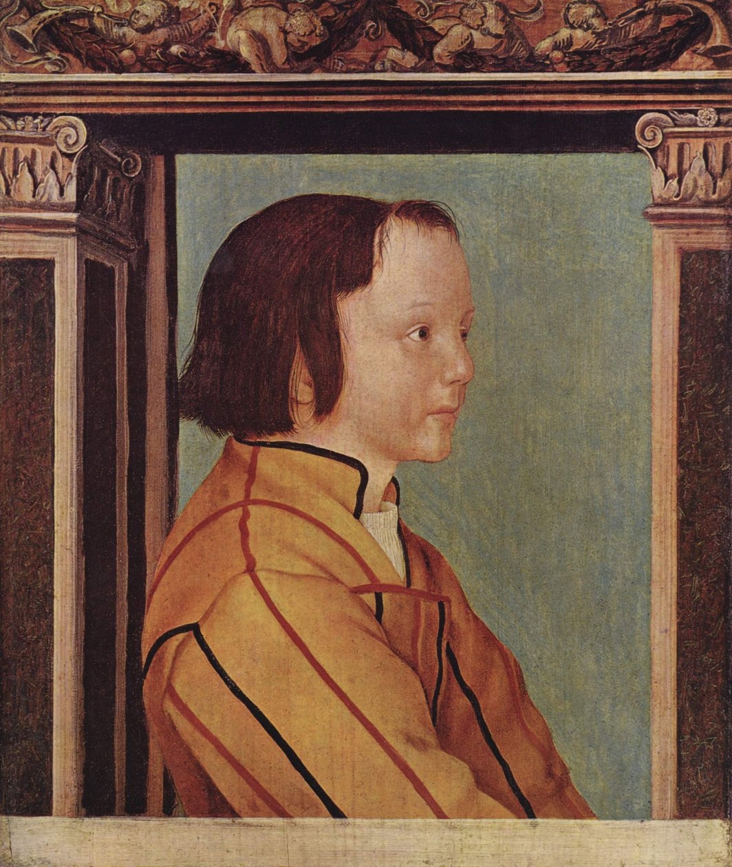 Barna hajú fiú alkotó: Ambrosius Holbein
