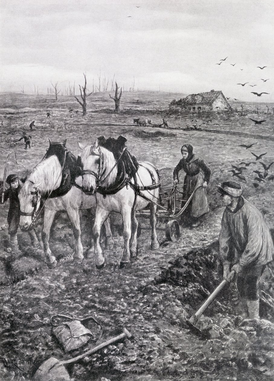 Ruined Fieldsben dolgozó gazdák, 1918 (féltónusú újságpapír) alkotó: Amedee Forestier