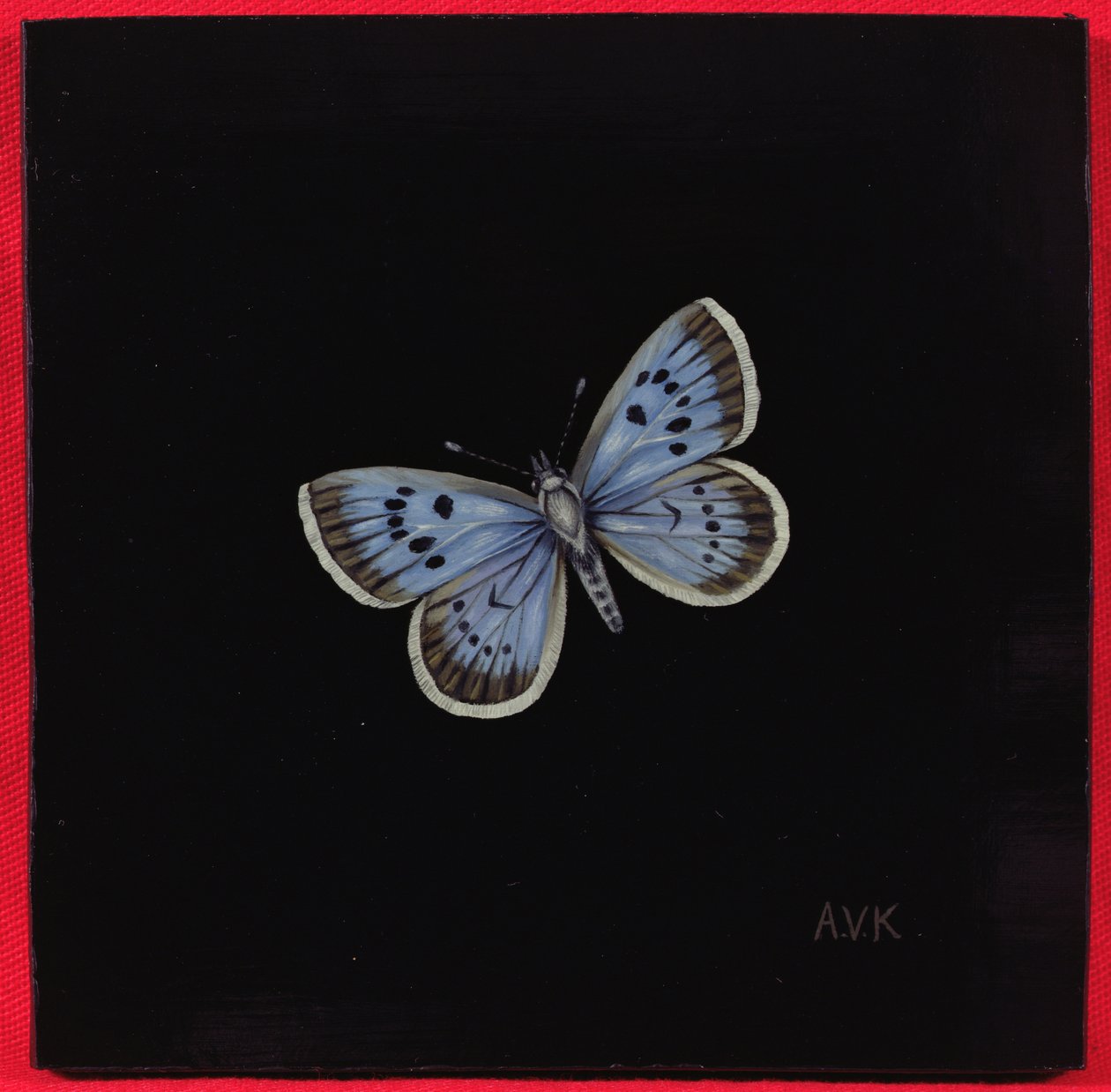 Nagy kék pillangó, 2000 alkotó: Amelia Kleiser