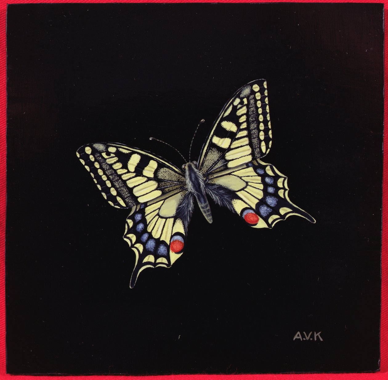 Fecskefarkú pillangó, 1999 alkotó: Amelia Kleiser