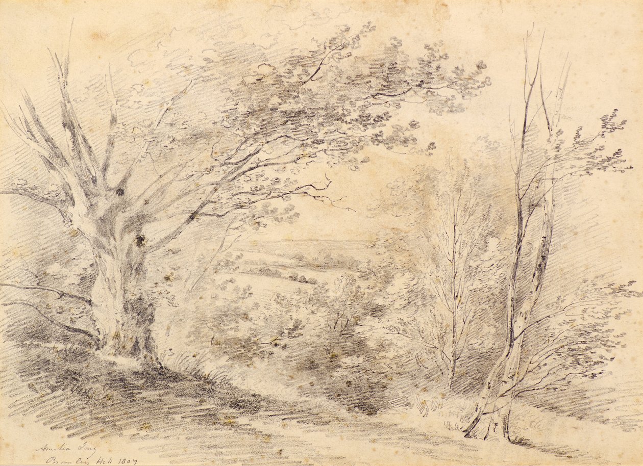 Bromley Hill alkotó: Amelia Long