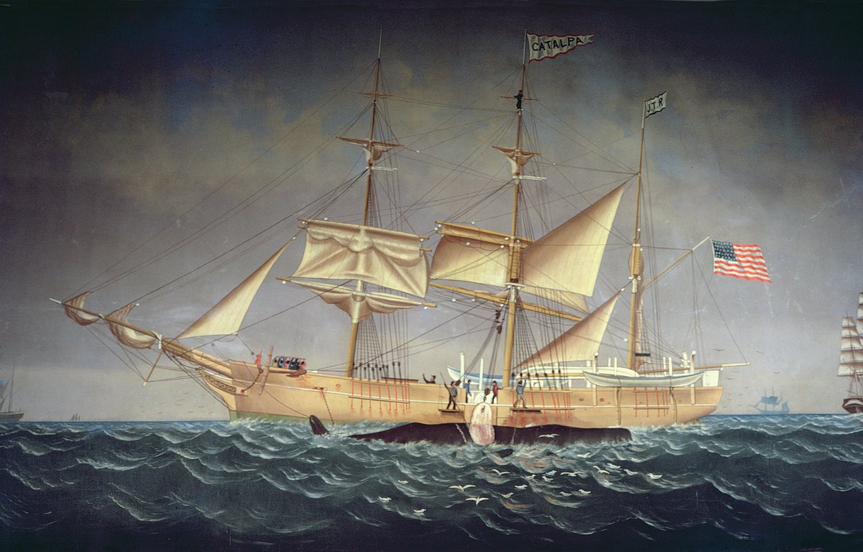 A "Catalpa" bálnával alkotó: American School