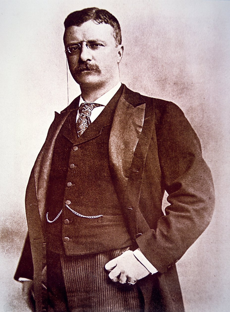 Theodore Roosevelt elnök (litho) alkotó: American School