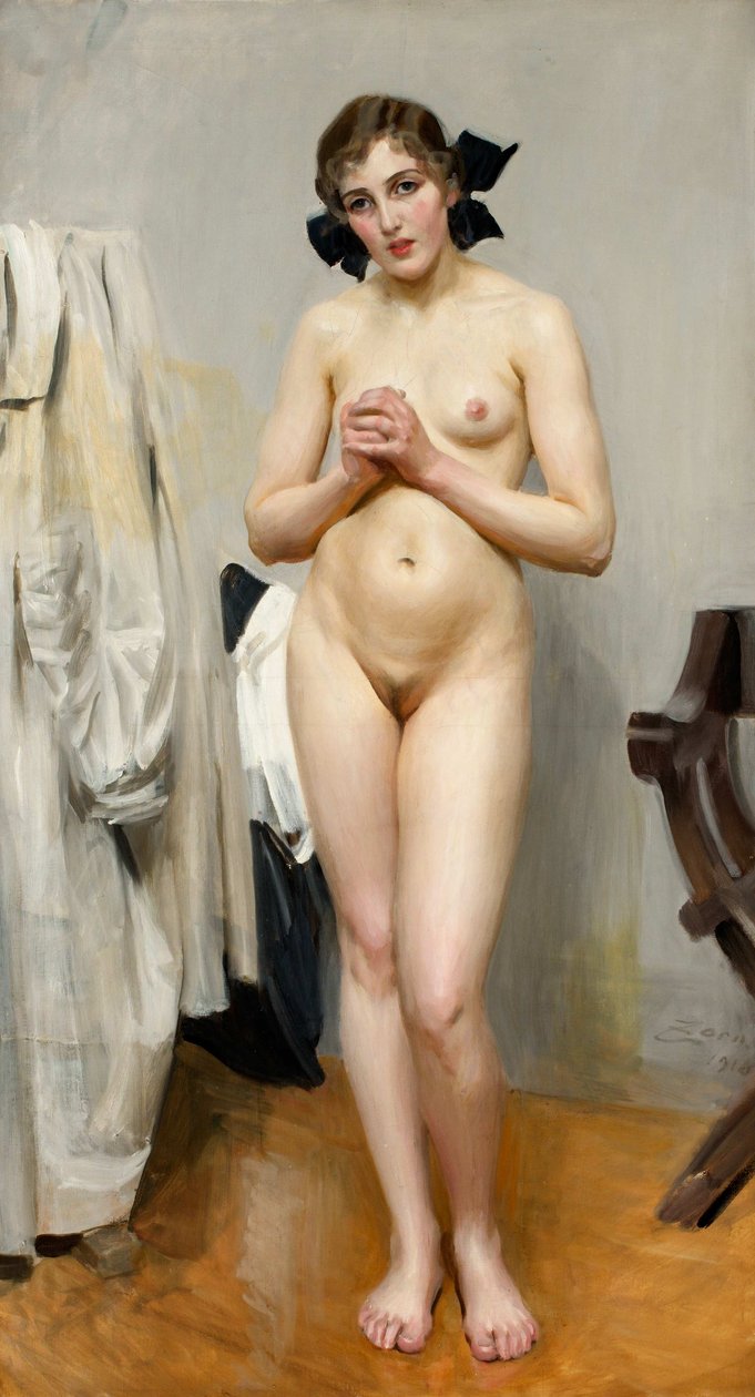 Tizennégy év, azt hiszem, az voltam alkotó: Anders Leonard Zorn