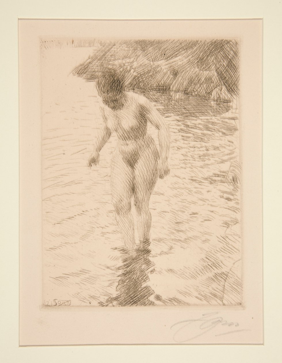 dollárt alkotó: Anders Leonard Zorn