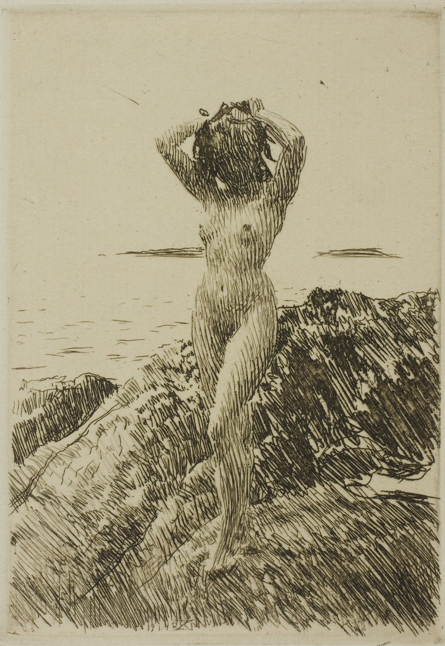 Hårtång (tengeri alga koszorú) alkotó: Anders Leonard Zorn