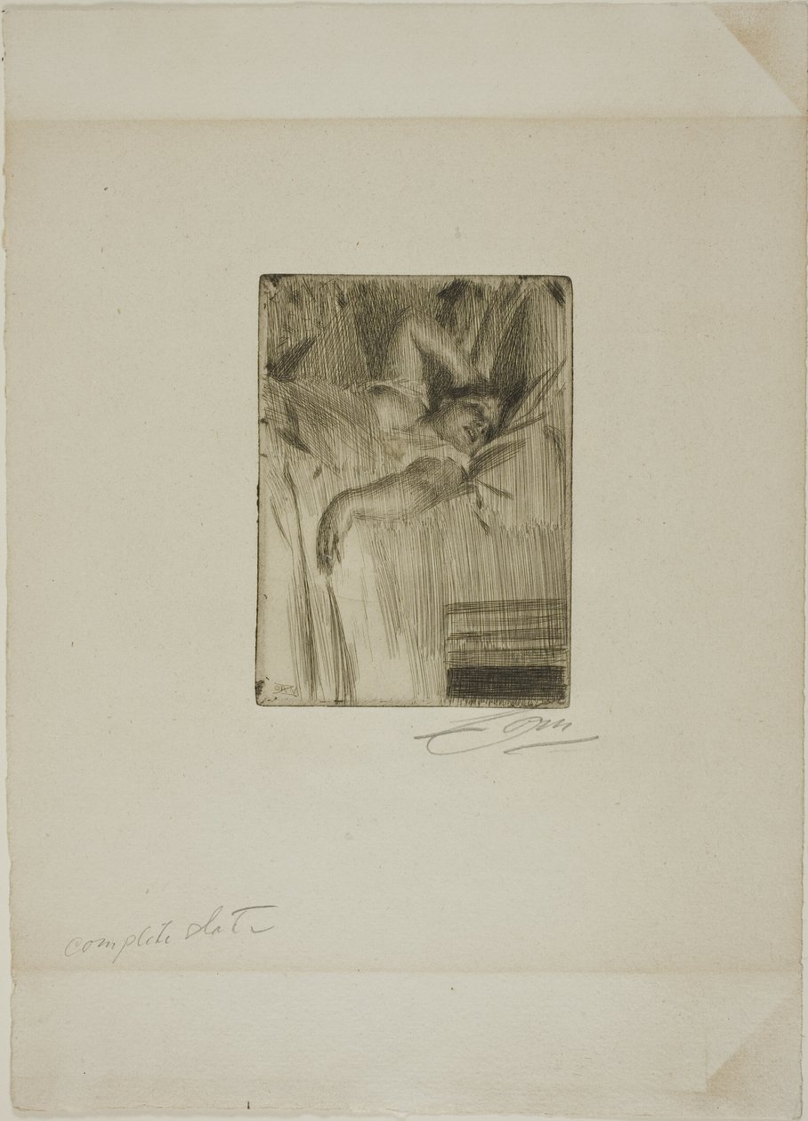 A riasztó alkotó: Anders Leonard Zorn