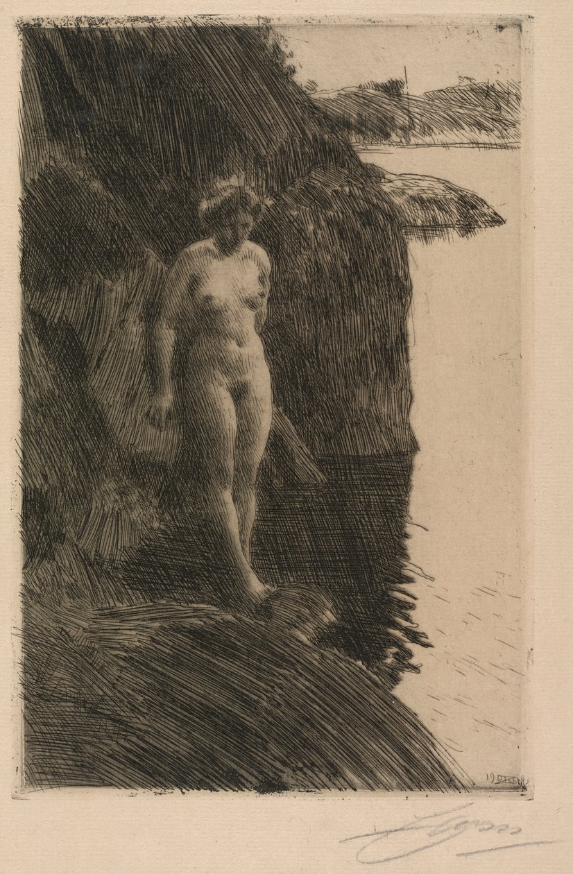 Szakadék alkotó: Anders Leonard Zorn