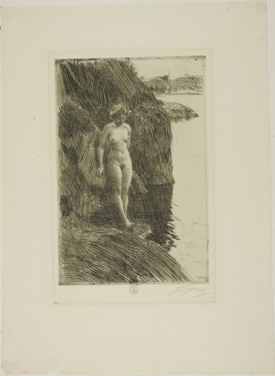 Szakadék alkotó: Anders Leonard Zorn