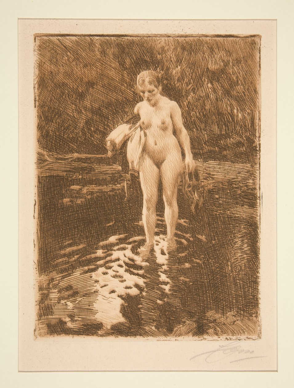 A Ford alkotó: Anders Leonard Zorn